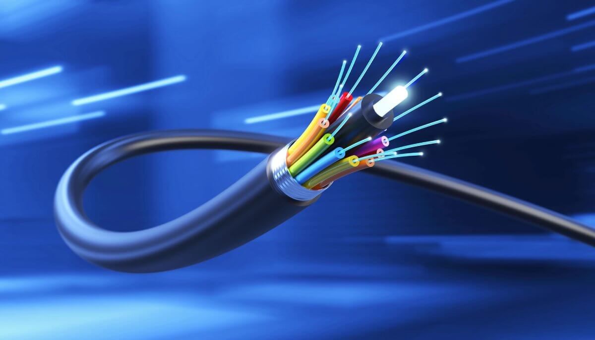 Fiber Optic Networks